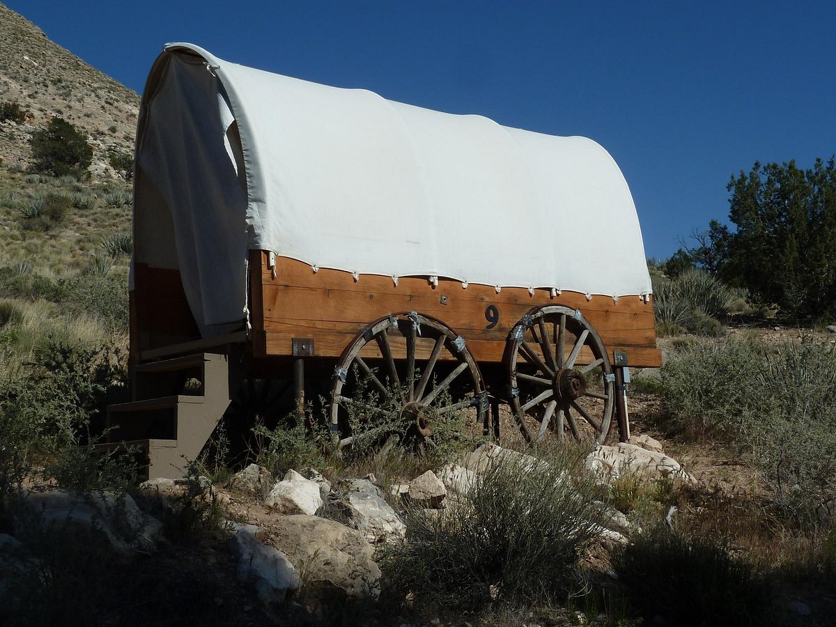 bar 10 ranch wagon 9